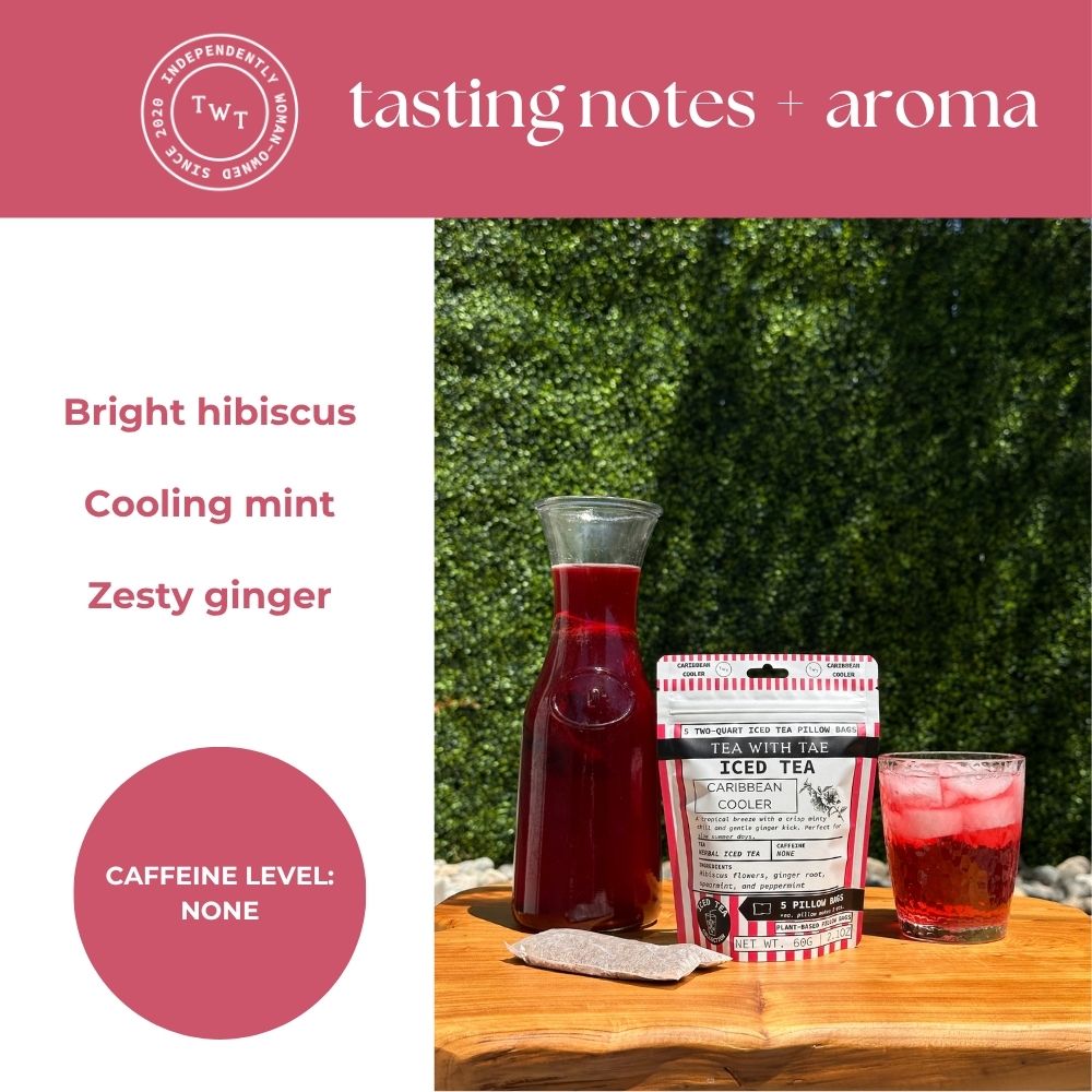 Caribbean Cooler Iced Herbal Tea Pouch - Tea with Tae
