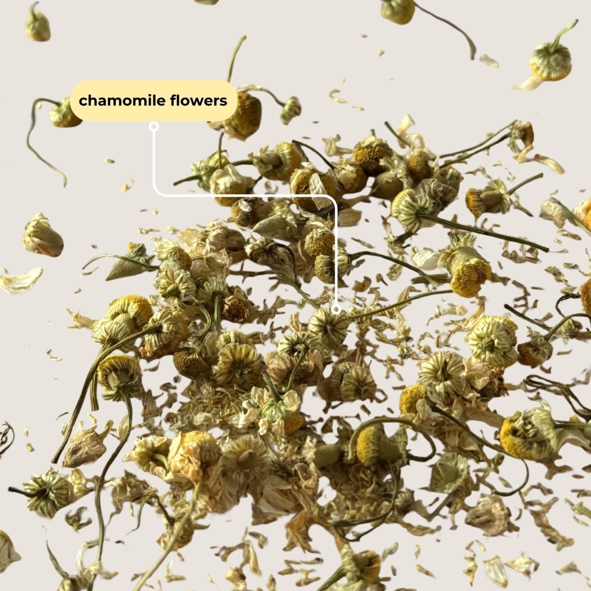 Chamomile Mini Tea Tube (5 tea bags) - Tea with Tae