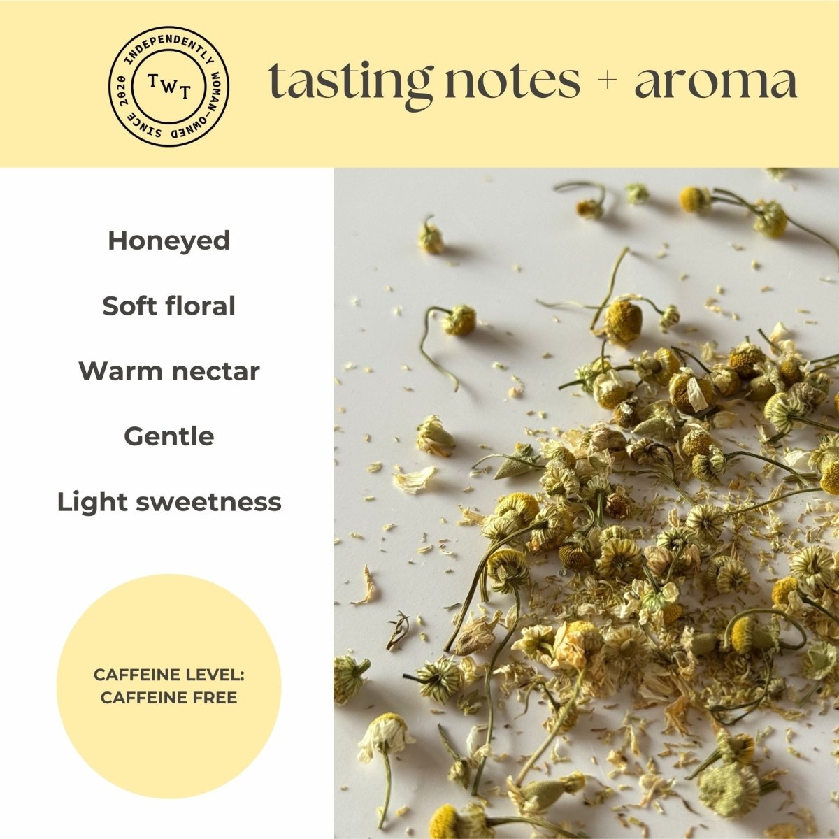 Chamomile Mini Tea Tube (5 tea bags) - Tea with Tae