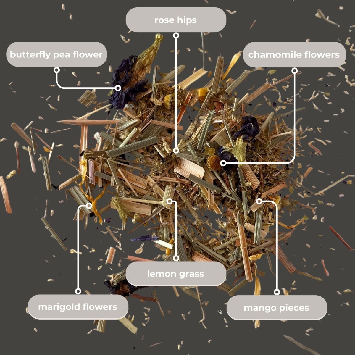 Ghoulflower Mini Tea Tube (Halloween) - Tea with Tae