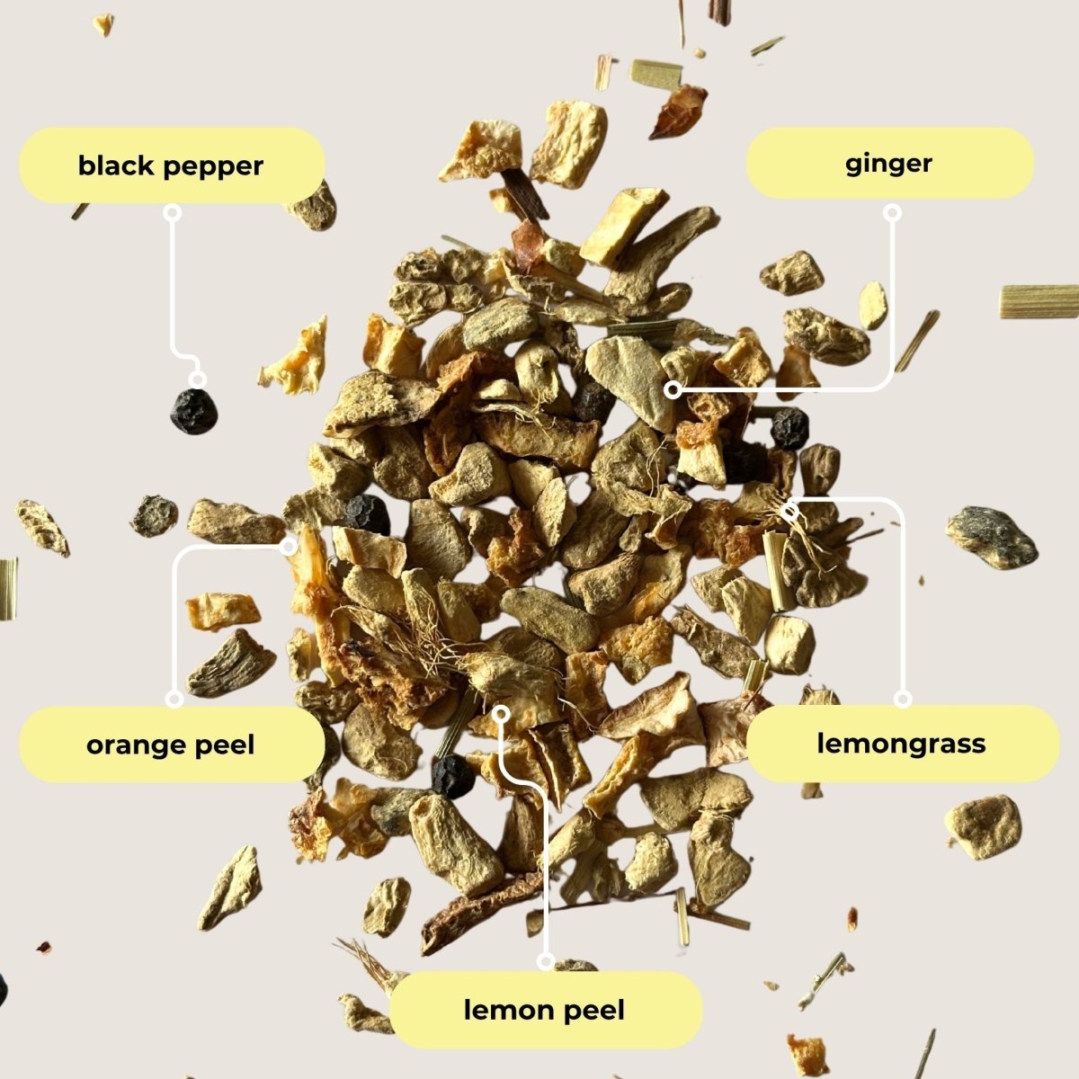 Lemon Ginger Mini Tea Tube (5 tea bags) - Tea with Tae