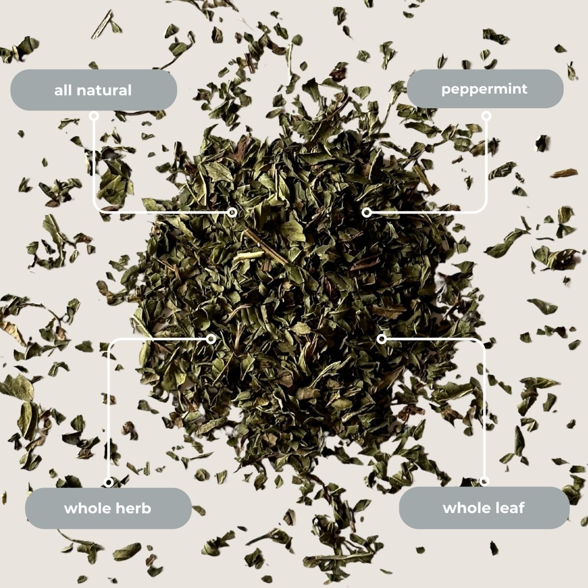 Peppermint Mini Tea Tube (5 tea bags) - Tea with Tae