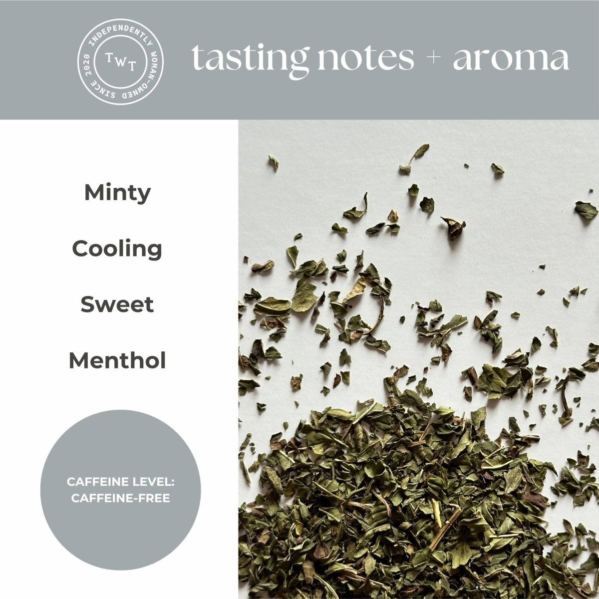 Peppermint Mini Tea Tube (5 tea bags) - Tea with Tae