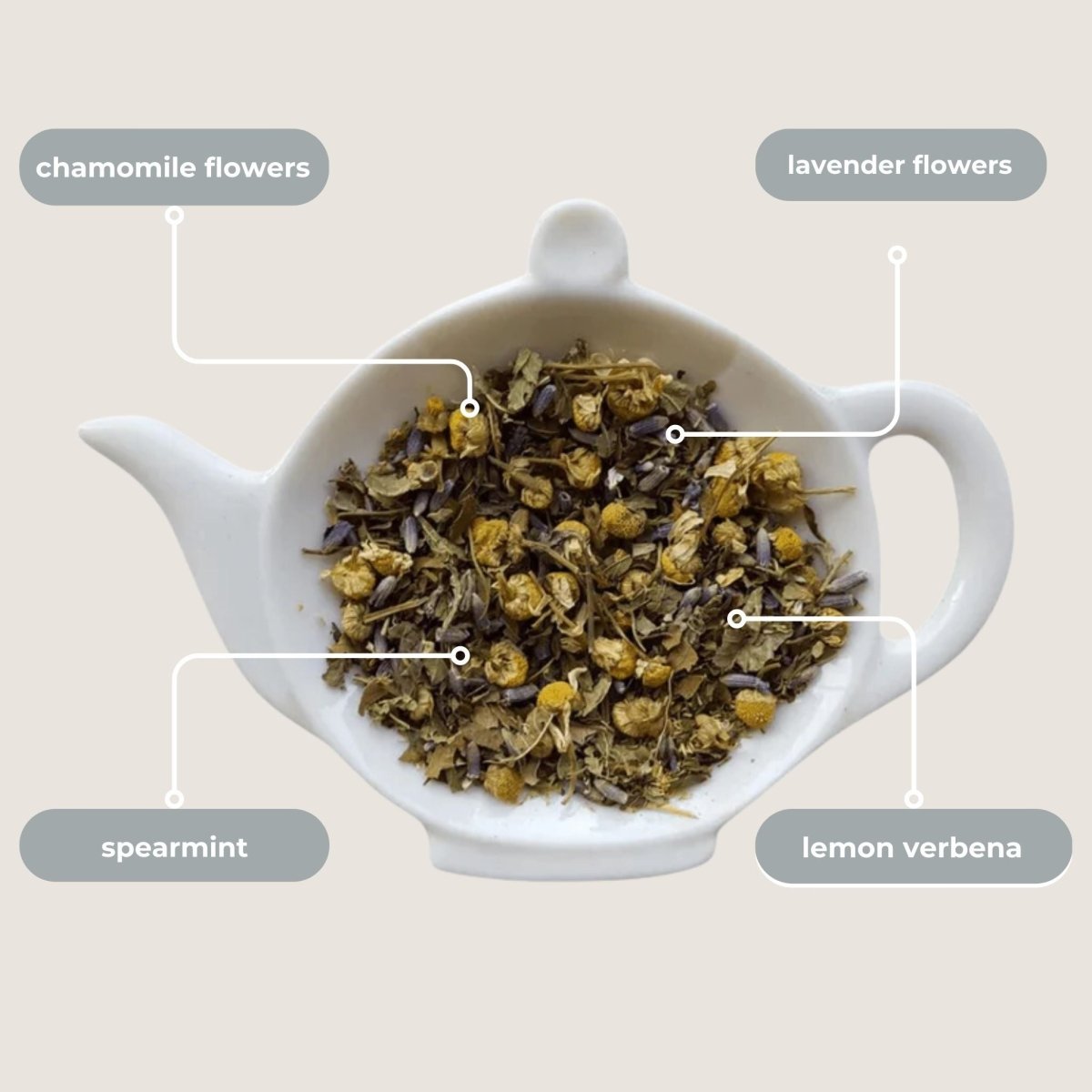 Spa Bliss Mini Tea Tube (5 tea bags) - Tea with Tae