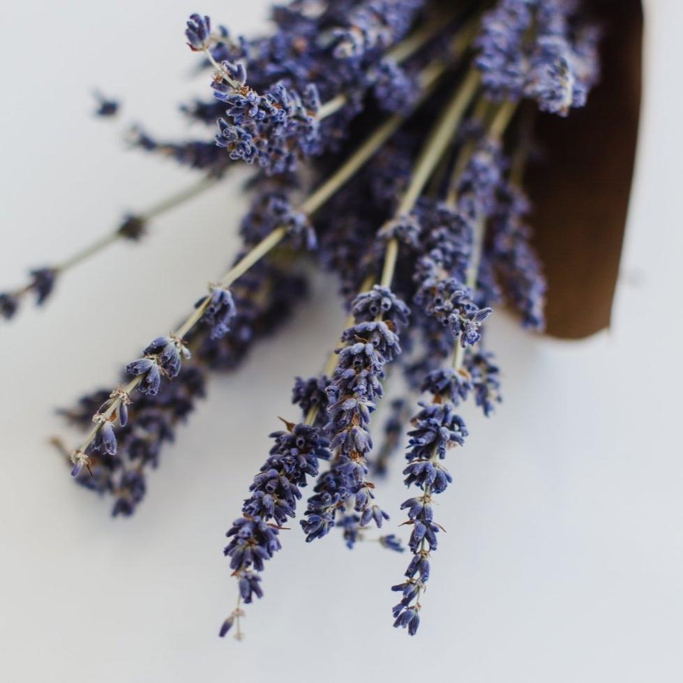 Lavender Earl Grey - Tea with Tae