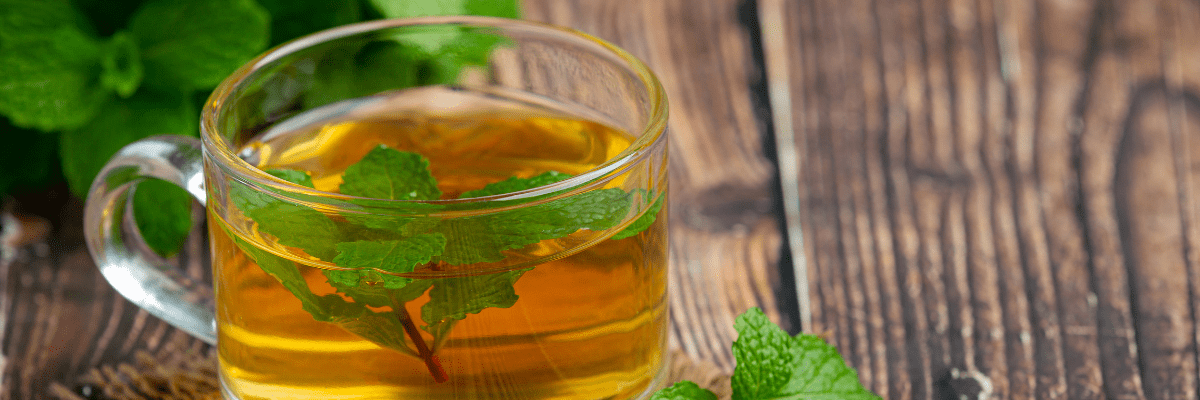 Peppermint Tea and PCOS: What You Need to Know - Tea with Tae