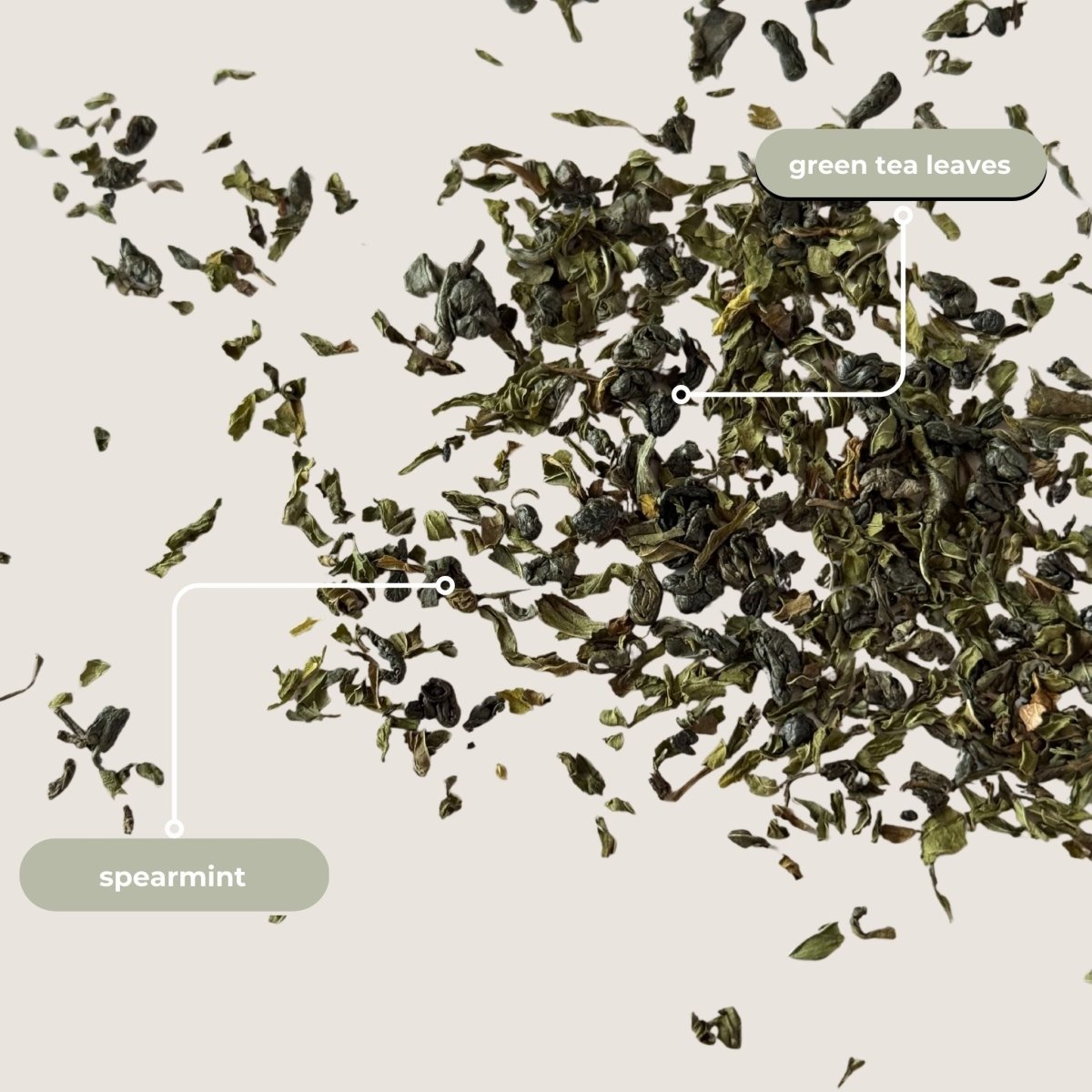 Moroccan Mint Mini Tea Tube (5 tea bags) - Tea with Tae