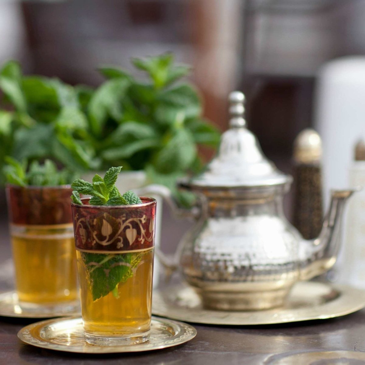 Moroccan Mint Mini Tube - Tea with Tae